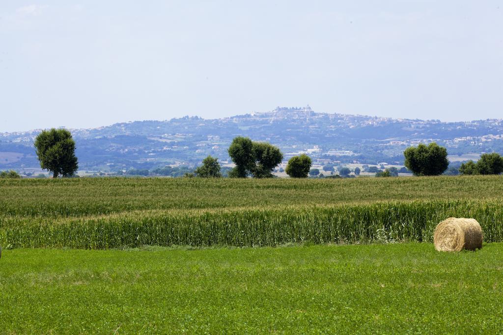 ヴィテルボ Agriturismo Ferento E Il Castagnoヴィラ エクステリア 写真